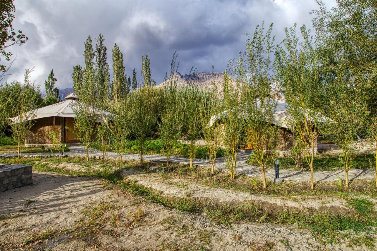 Chalet Seabuckthorn - Hunder Hundar Exteriér fotografie