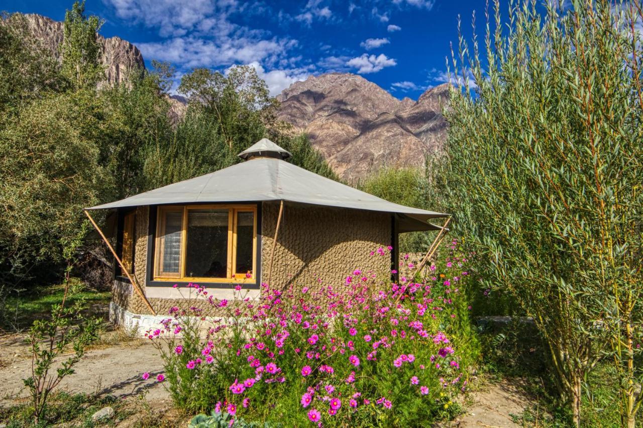 Chalet Seabuckthorn - Hunder Hundar Exteriér fotografie